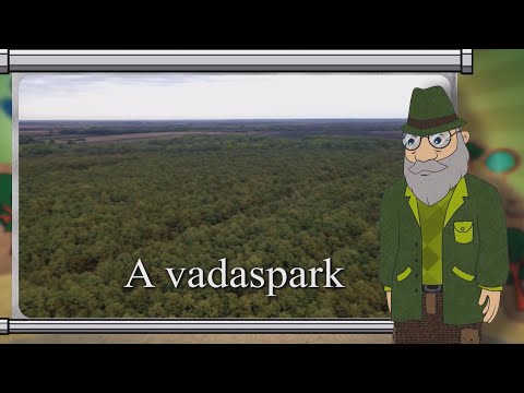 Erdő Ernő bácsi meséi - Mi az a vadaspark?