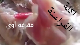 الفسيخ أكله فرعونيه يعنى مصريه أبآ عن جد