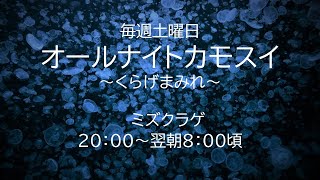 オールナイトカモスイ　～くらげまみれ～ #196　ミズクラゲ