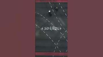 اكتب شيء تؤجر عليه | سورة الجاثية الآية 24 القارئ ياسر الدوسري