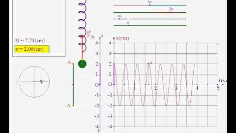 Dao động điều hoà của con lắc lò xo thẳng đứng