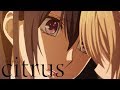 I'm with You Now | citrus