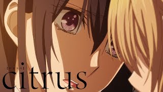 I'm with You Now | citrus