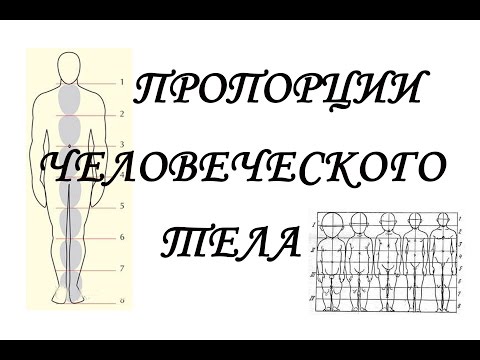 ПРОПОРЦИИ человеческого ТЕЛА+СОВЕТЫ