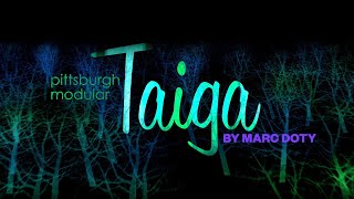 05- The Pittsburgh Modular Taiga- Filter Part 2
