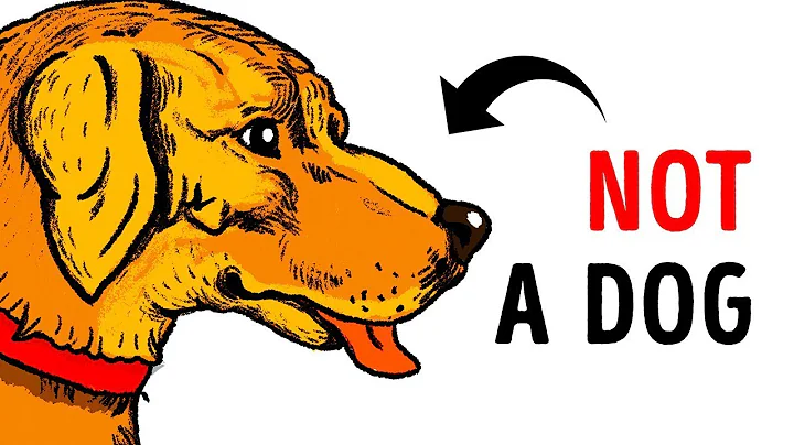 11 Optical illusions that will trick your eyes.