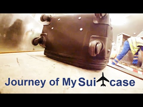 This is What Happens with your Suitcase at the Airport