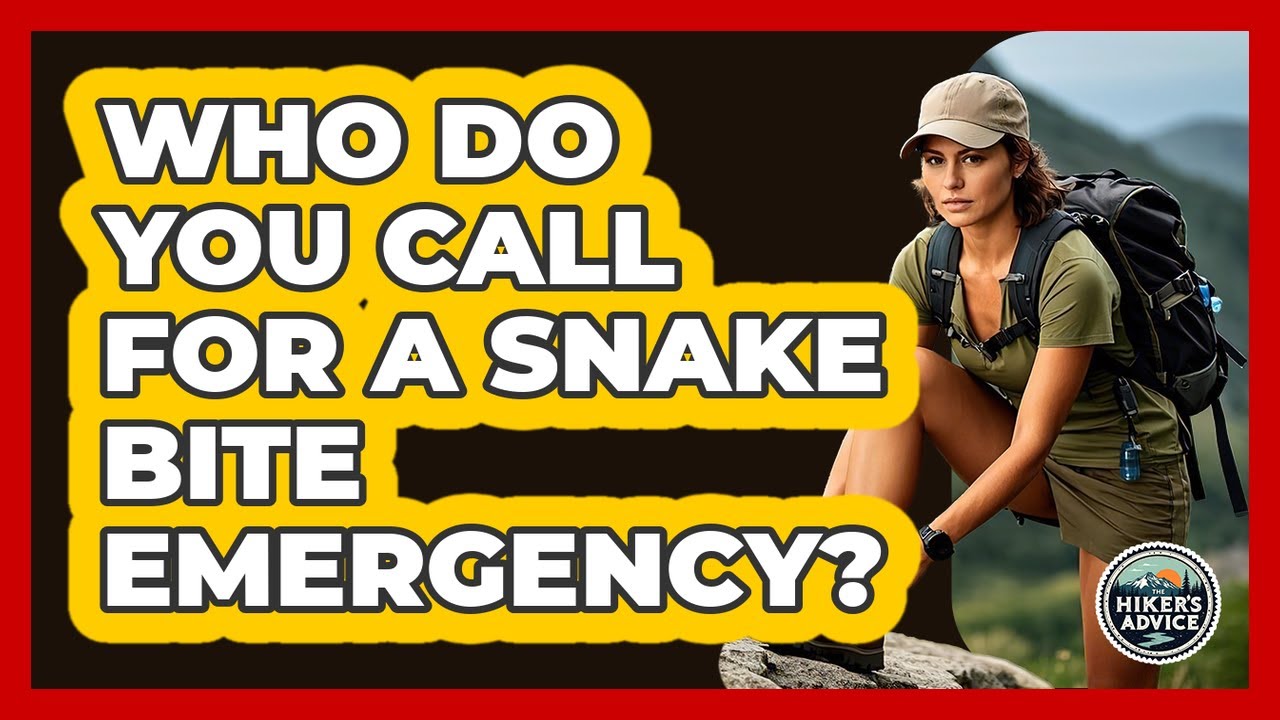 Who Do You Call For A Snake Bite Emergency?