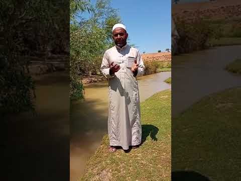 روحوا القلوب ساعة فساعة فإن القلوب إذا كلت تعبت أو ملت