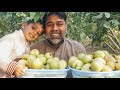 My Garden visit/My Guava Garden visit/Mubarik Ali Tour And Taste