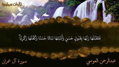 تلاوة عذبة غاية في الجمال من سورة آل عمران لفضيلة الشيخ عبدالرحمن ث