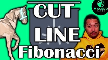 Qualified in Fibonacci Cup - Cut Line Series 3 | Zed Run Racehorse | Horse Racing