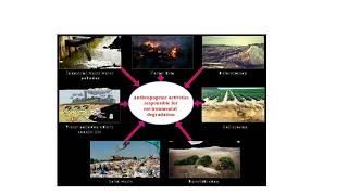 Human Activities That Destroy The Environment  Video No 1170