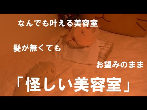 【めいどいんあびす】美容師ネリタンタンと髪のないミーティとメイニャ【深くない魂の黎明】