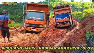 The Toughest Situation of the Mud King Truck | Fuso Truck Fights It Out to Get Away by Anak Belok Official 16,988 views 4 weeks ago 48 minutes