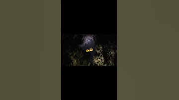 سورة الزخرف - الشيخ ياسر الدوسري 🤍