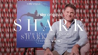 Shark Expert Steve Backshall Reviews Jaws, The Meg, And Finding Nemo