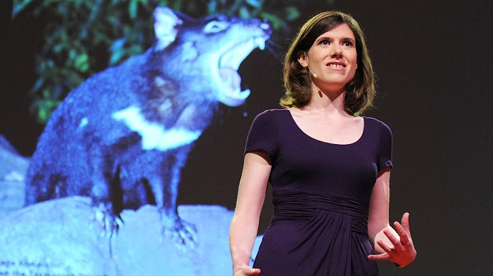 Fighting a contagious cancer - Elizabeth Murchison