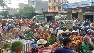 GIÁ VẢI BUỔI SÁNG NGÀY 05.06.2023 THÊM ĐẶC SẢN TẮC ĐƯỜNG MÙA VẢI