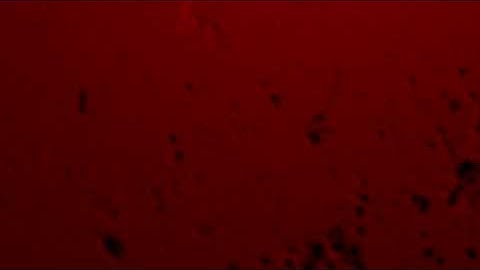 Intro Preview Adobe After Effects CS4