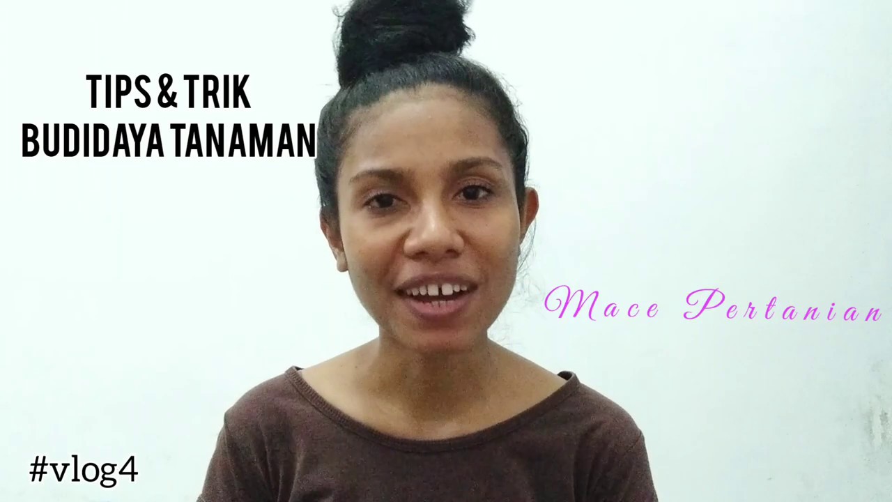 Sampah Plastik & Budidaya Tanaman 