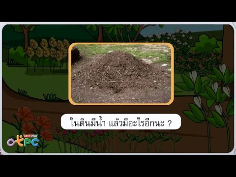 ในดินมีอะไรบ้าง 2 - วิทยาศาสตร์ ป.1