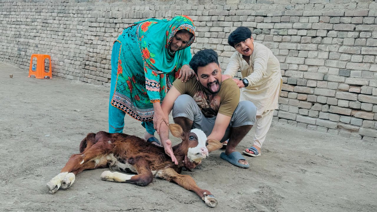 Hamara Gabro 😳 ||