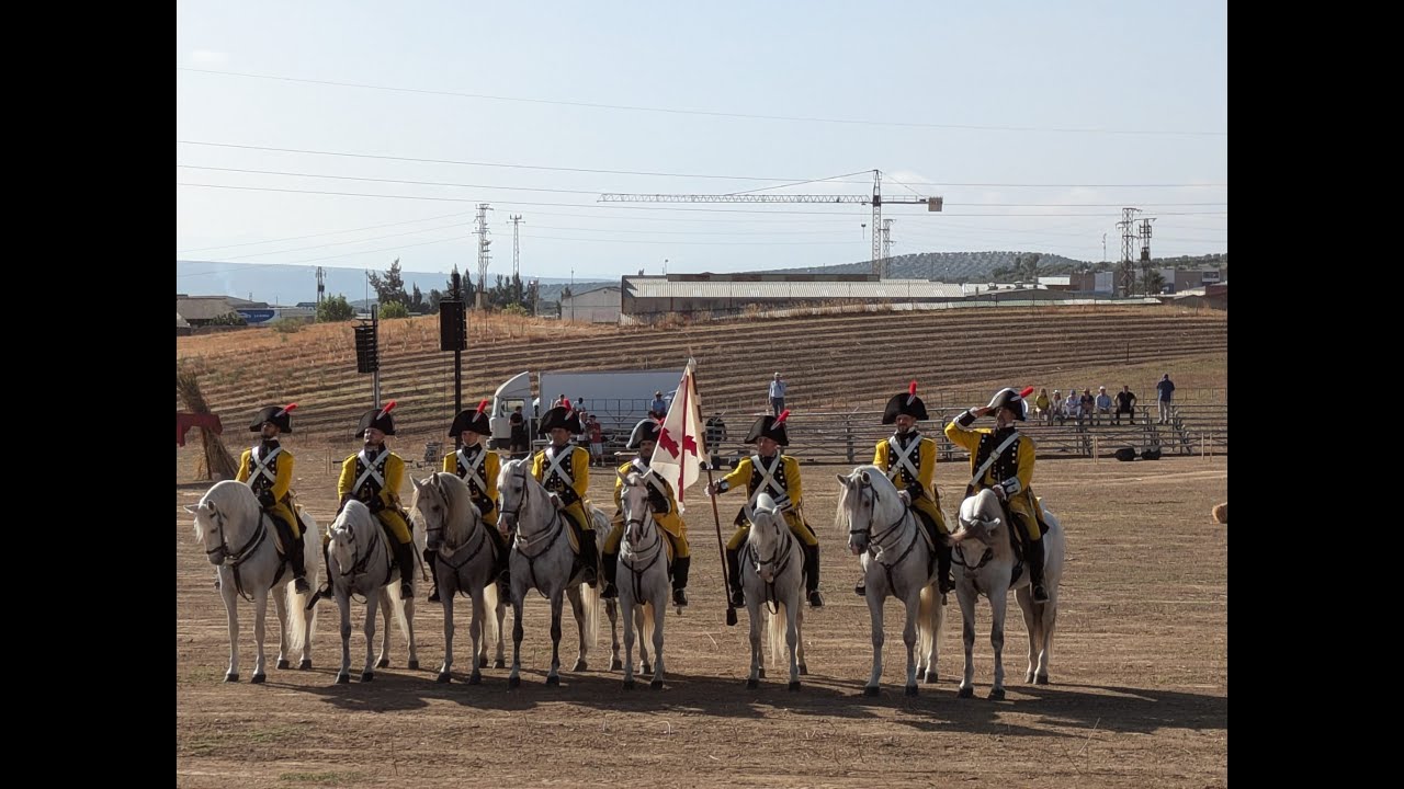 Battle of Bailen Reenactment 2024/ Recreación de la Batalla de Bailén 2024