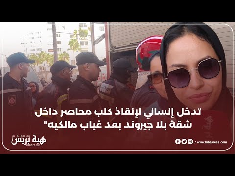 تدخل إنساني لإنقاذ كلب محاصر داخل شقة بلاجيروند بعد غياب مالكيه من إفريقيا جنوب الصحراء بالبيضاء