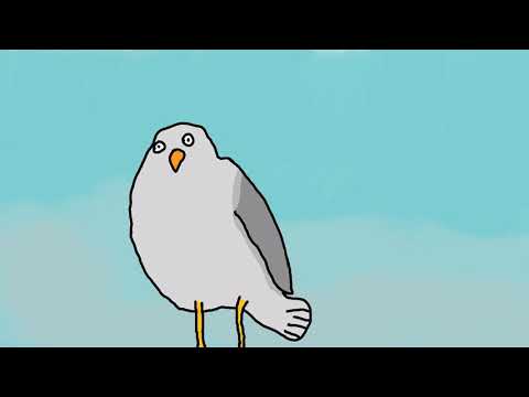 Seagull screaming but