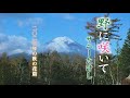 サニーたけし「野に咲いて」花紀行-2020年秋篇-