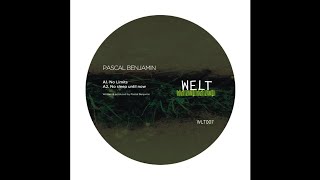 Pascal Benjamin - No Limits