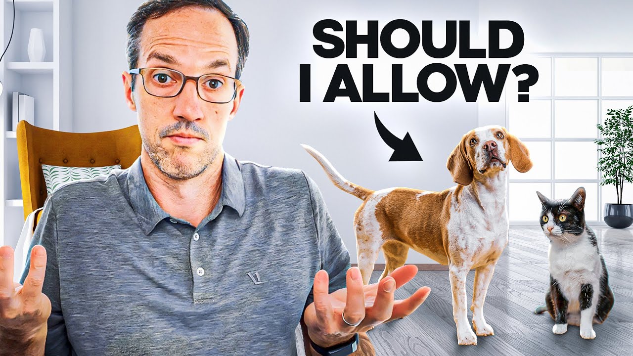 Should You Allow Pets In Your Rental Property? YouTube