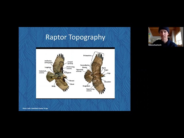Raptor Identification Seminar with Teton Raptor Center and JHWF