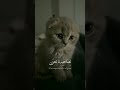 اكتب شي تؤجر عليه تصميمي قران كريم اشتراك