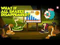 What if all snakes disappeared  the importance of snakes in the ecosystem  the dr binocs show