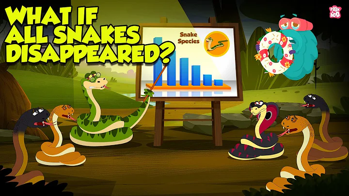 What If All Snakes Disappeared? | The Importance of Snakes in the Ecosystem | The Dr. Binocs Show