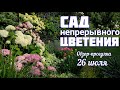 У нашего САДА нет ОТДЫХА в цветении так подобраны растения и сорта У нашего САДА нет ОТДЫХА в цветении так подобраны растения и сорта