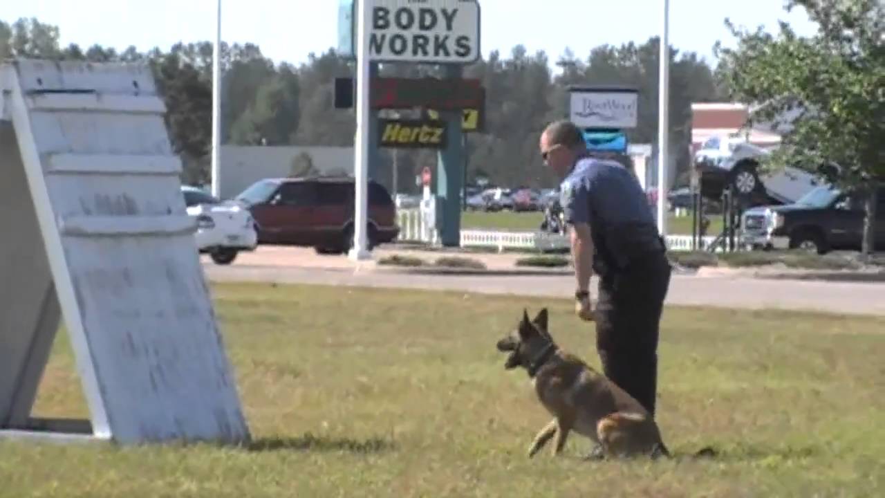 Baxter K9 Unit at Mills Ford YouTube