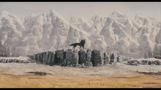 canis lupus (fantastic mr fox) ~ alexandre desplat (s l o w e d)