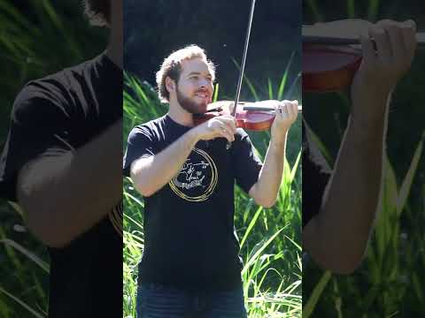 Видео: Sunshine Melody #violin #official #originalsong #violinist