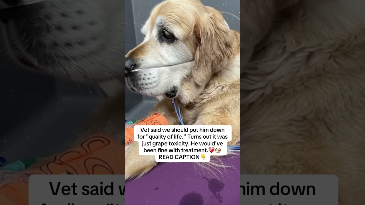 READ CAPTION 👇🏻