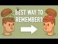 Effective Memory Techniques Quiz