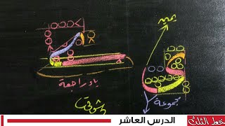 خط الثلث | الدرس العاشر