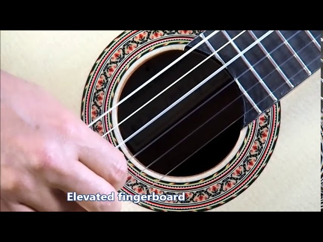 Guitares Classiques - Galerie Casanova