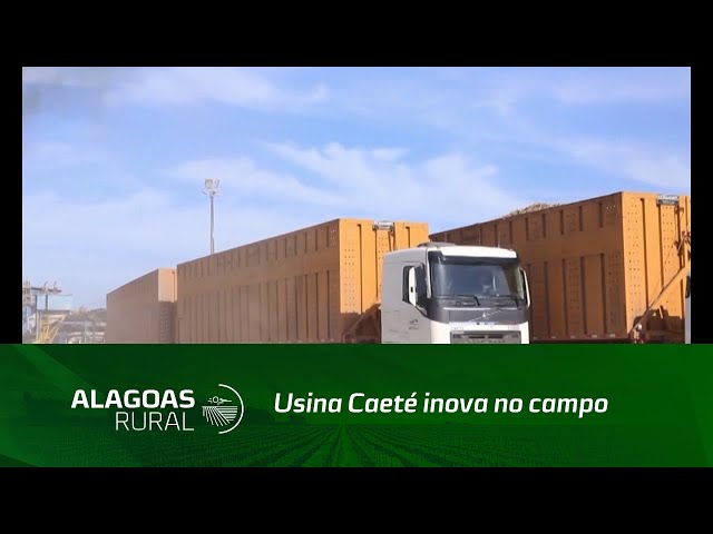 Usina Caeté inova no campo