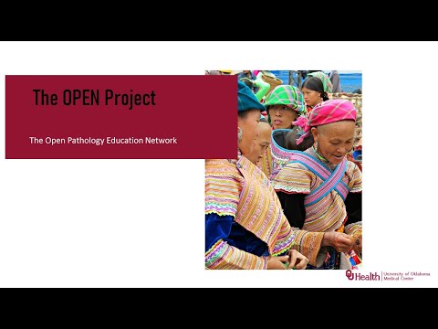 An Introduction to the OPEN Project