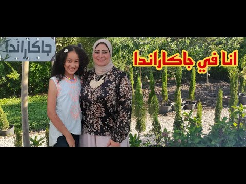 تعالوا معايا نشوف جمال الطبيعة زيارة الي اجمل مكان مزرعة جاكاراندا و متحف الصباريات و اقدم مشتل