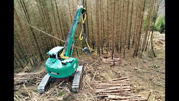 🌲*OnBoard* Impex Königstiger T25 • HarvesterAction • 15 Meter Kran •  Steilhang • Tiger in wood🌲 