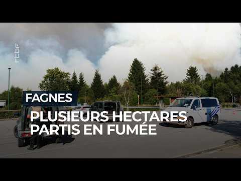 Fire in the High Fens: the blaze continues to spread - RTBF News